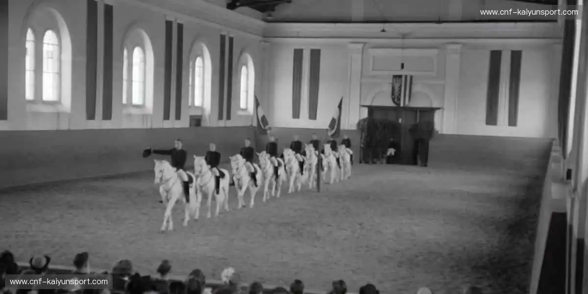 🔥 每一场赛事，都是热血的碰撞！立即加入，见证巅峰对决⚽️🏀